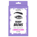 Venita, Trendy Brows, Zestaw do laminacji brwi - Venita