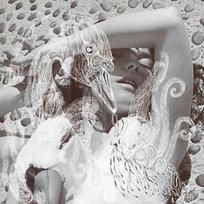 Vespertine Bjork
