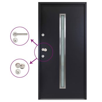 vidaXL Aluminiowe drzwi zewnętrzne, antracytowe, 110 x 207,5 cm  - vidaXL
