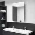 vidaXL Szafka łazienkowa z lustrem i LED, szarość betonu, 60x11x80 cm - vidaXL