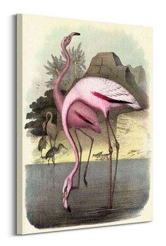 Vintage Flamingos - obraz na płótnie - Art Group