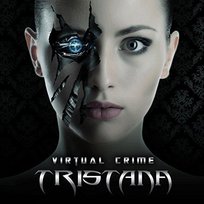 Virtual Crime Various Artists