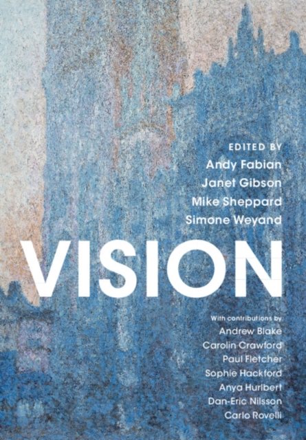 Vision - Opracowanie zbiorowe | Książka w Empik