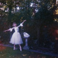 Visions Of A Life Alice Wolf