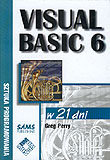 Visual Basic 6 Perry Grey
