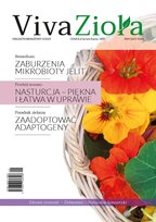 Najczęściej kupowane