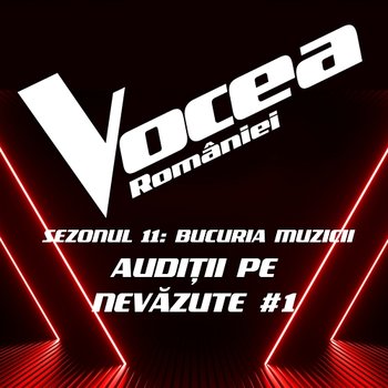 Vocea României: Audiții pe nevăzute #1 (Sezonul 11 - Bucuria Muzicii) - Vocea României