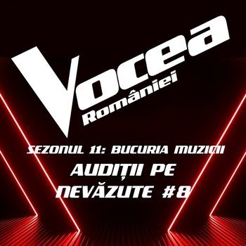 Vocea României: Audiții pe nevăzute #8 (Sezonul 11 - Bucuria Muzicii) - Vocea României