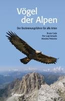 Vögel der Alpen Caula Bruno, Pettavino Massimo, Beraudo Pier Luigi