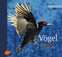 Vögel - Magische Momente Varesvuo Markus