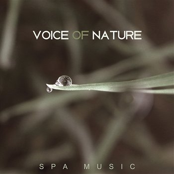 Voice of Nature – Spa Music, Healing Massage, Relax and Positive Thoughts - Harmony Nature Sounds Academy
