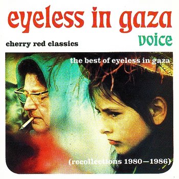 Voice - The Best Of Eyeless In Gaza - Eyeless in Gaza