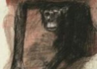 Najlepszy francuski komiks według Polaków