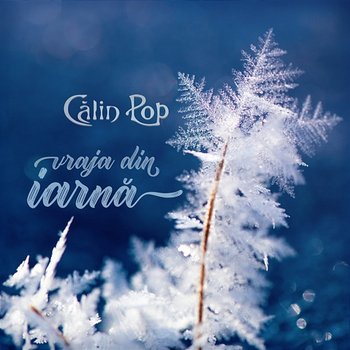 Vraja din iarnă - Calin Pop