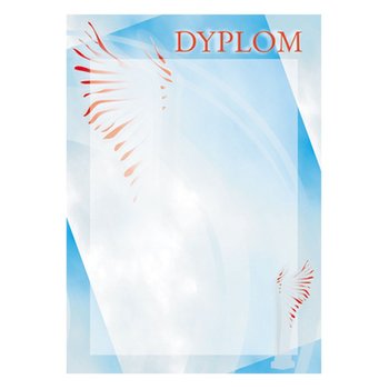 VS, Dyplom papierowy - ogólny - VS