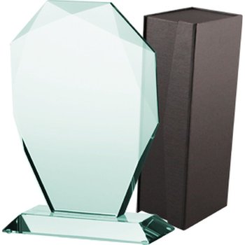 VS, Trofeum szklane + etui - VS