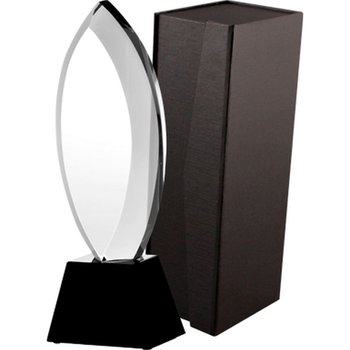 VS, Trofeum szklane + etui - VS