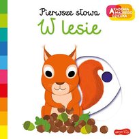 W lesie. Pierwsze słowa. Akademia mądrego dziecka Choux Nathalie