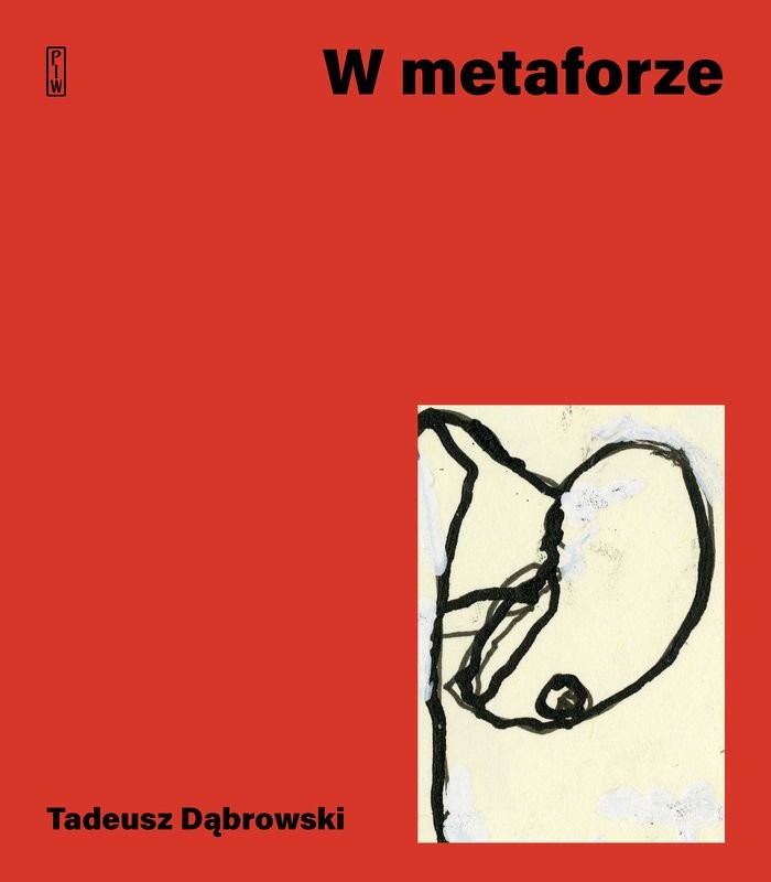 W metaforze - Dąbrowski Tadeusz | Książka w Empik