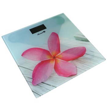 Waga łazienkowa ŁUCZNIK BS-973 W11 - Łucznik