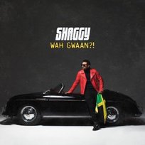 Wah Gwaan?! Shaggy