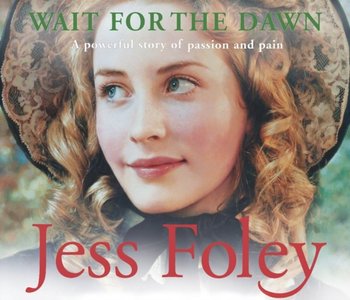 Wait For The Dawn - Foley Jess