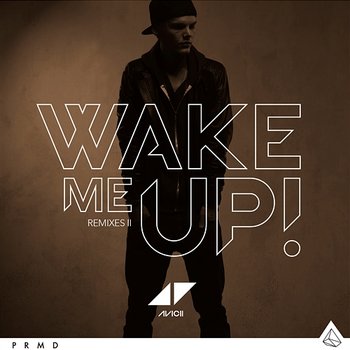 Wake Me Up - Avicii