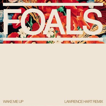 Wake Me Up - Foals