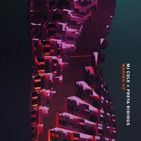 Waking Up MJ Cole & Freya Ridings