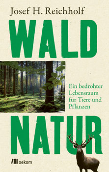 Waldnatur