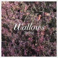 Wallows: Spring Green & Pink Coloured Vinyl CLR, płyta winylowa Unknown, Wallows