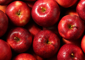 Wartości odżywcze jabłek. Dlaczego warto je jeść?