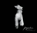 Wasza wspaniałość - Pogodno