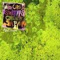 Water Curses - Animal Collective