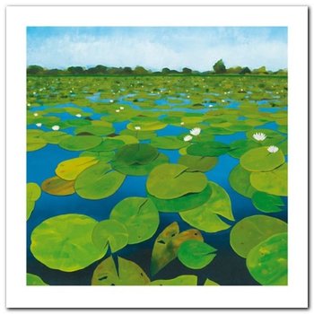 Waterlilies plakat obraz 30x30cm - Wizard+Genius