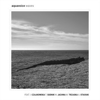Waves Aquavoice