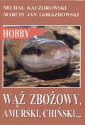 Wąż zbożowy, amurski, chiński - Gorazdowski Marcin Jan, Kaczorowski Michał
