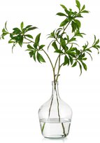 Wazon Szklany na Kwiaty Butelkowy Trawy Pampasy Przezroczysty Ozdobny