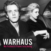We Fucked A Flame Into Being Warhaus