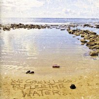 We Grew Legs To Flee The Water Various Artists