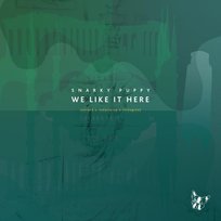 We Like It Here Remixed + Remastered + Reimagined Snarky Puppy