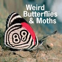 Weird Butterflies & Moths - Orenstein Ronald