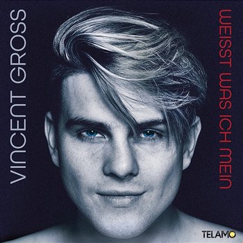 Weisst was ich mein - Vincent Gross