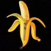Welcome to the Monkey House The Dandy Warhols