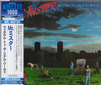 Welcome To The Real World (Remastered) (Japanese Limited Edition) (+3 Bonus Tracks) Mr. Mister, Mastelotto Pat