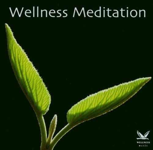 Wellness Meditation - Various Artists | Muzyka Sklep EMPIK.COM