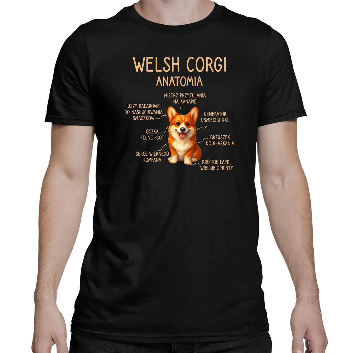 Welsh Corgi - anatomia - męska koszulka na prezent Rozmiar XS ...