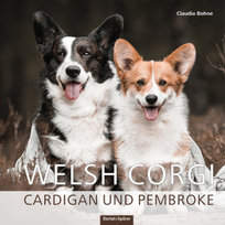 Welsh Corgi Oertel & Spörer