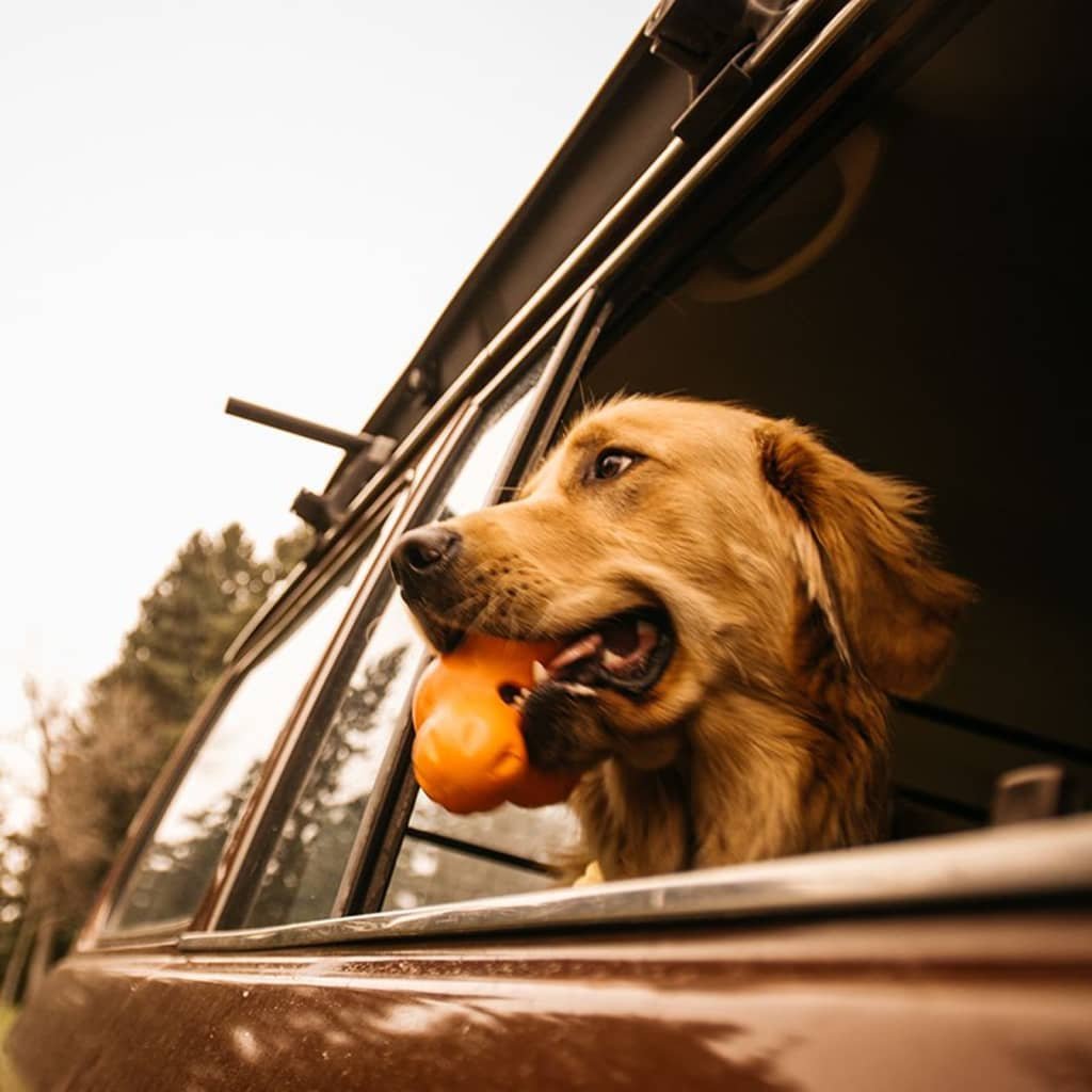 Фото - Іграшка для собаки West Paw Zabawka dla psa Tux z Zogoflexu, pomarańczowa, rozmiar L 