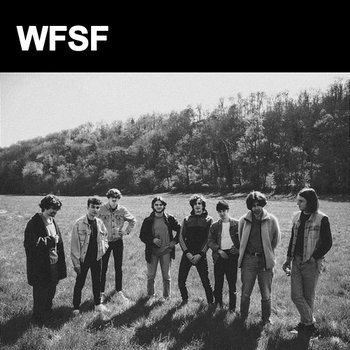 WFSF - Stuffed Foxes, Wild Fox